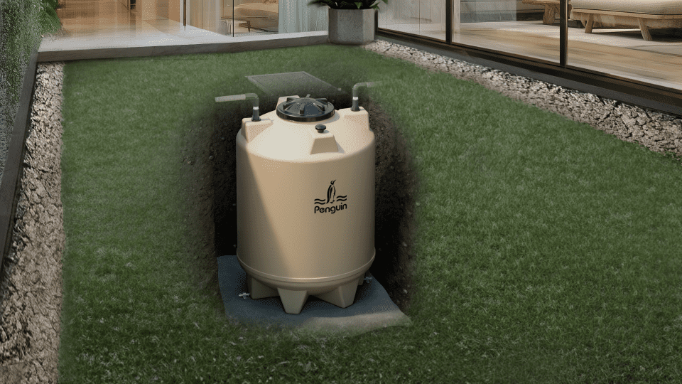 Underground Tank Penguin