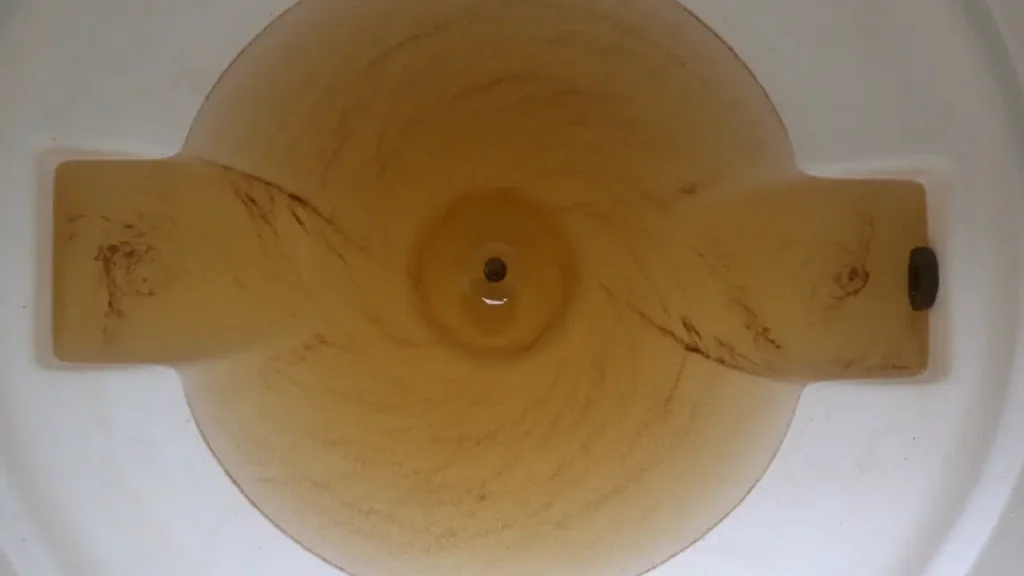 Penyebab Lumut di Tandon Air