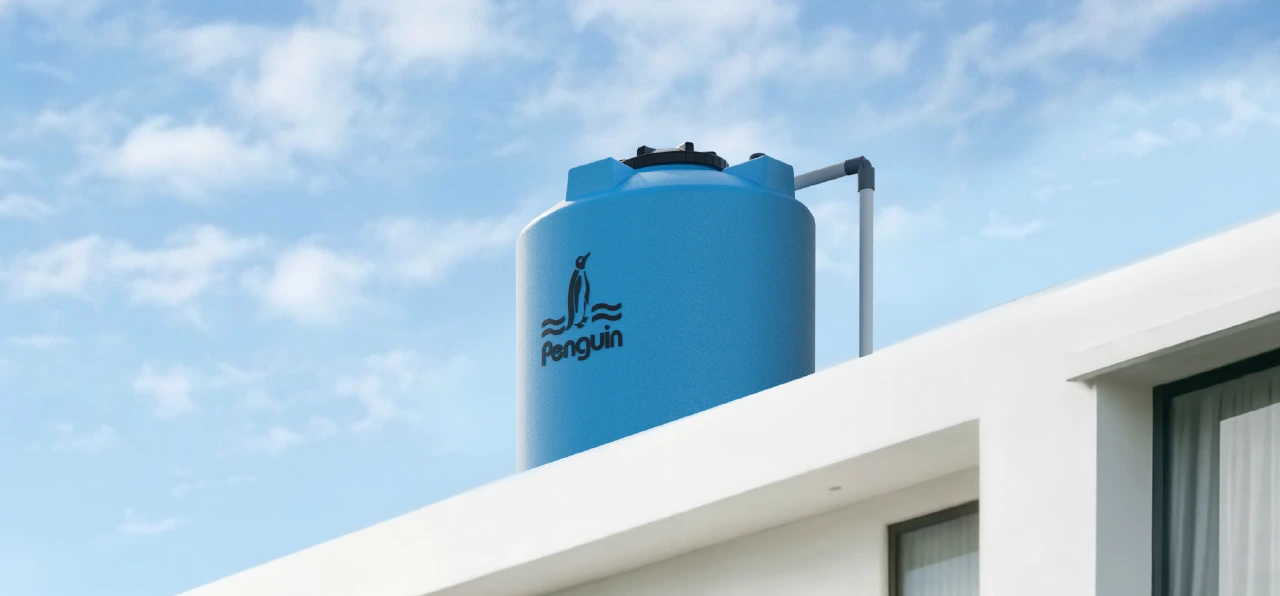 Ini Penyebab dan Cara Menghilangkan Lumut dengan Efektif