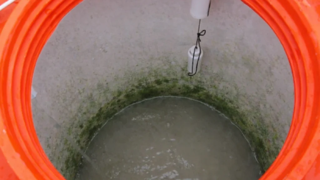 Dampak Tandon Air Berlumut