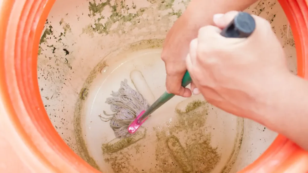 Cara membersihkan tandon berlumut